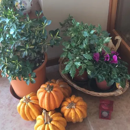Crocerone Bed & Breakfast
